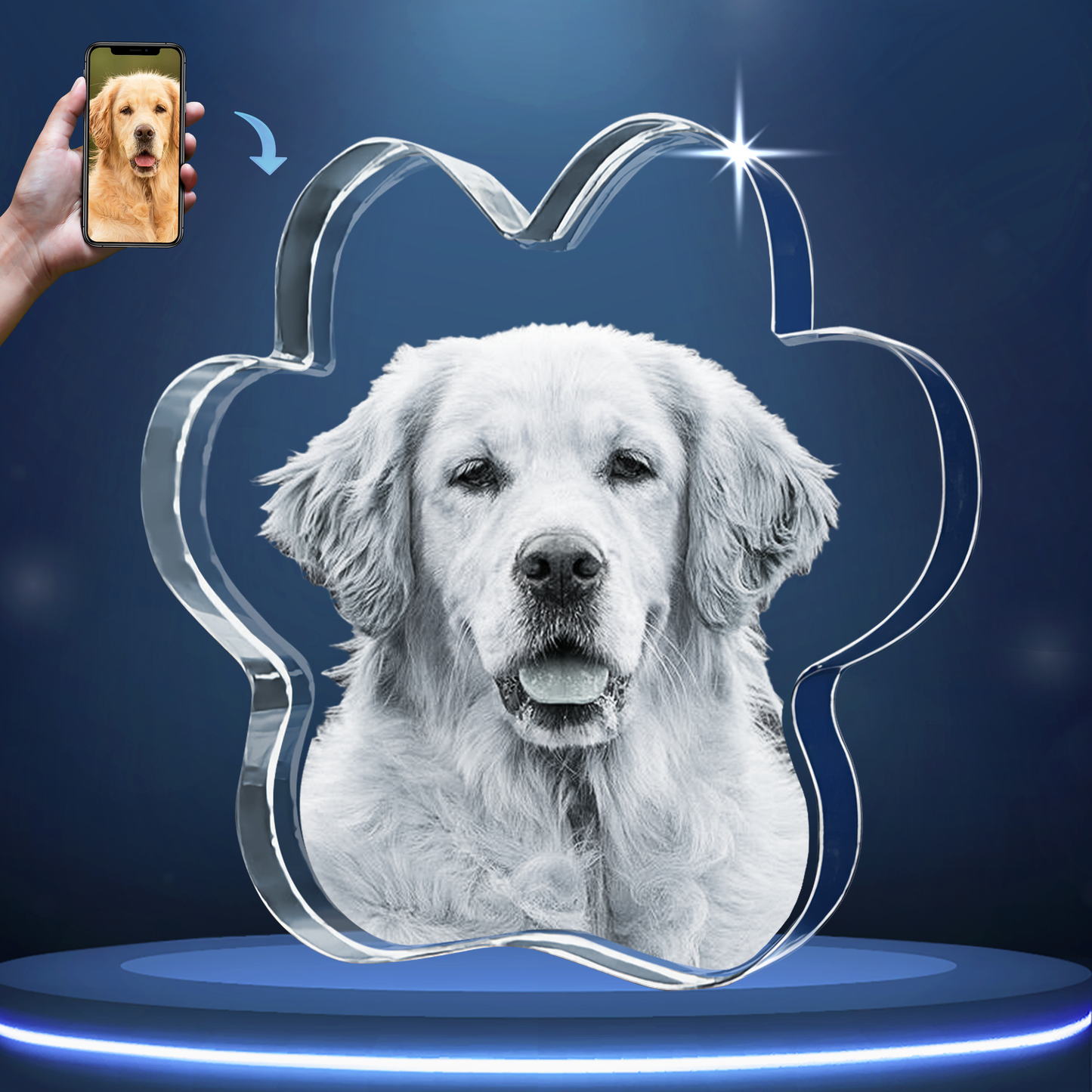 2D Pet Paw Crystal