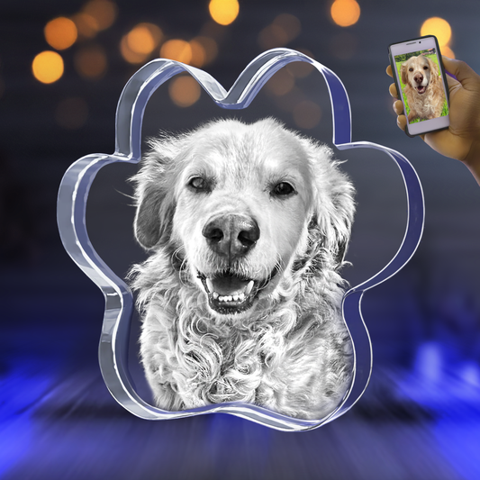 3D Pet Paw Crystal