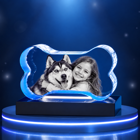 2D Pet Bone Crystal