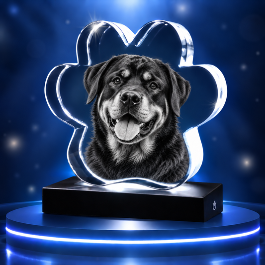 3D Pet Paw Crystal